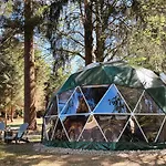 High Moor Glamping 豪华帐篷