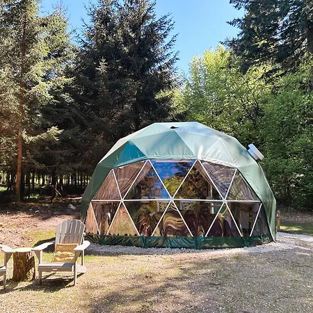 High Moor Glamping Luxe tent *