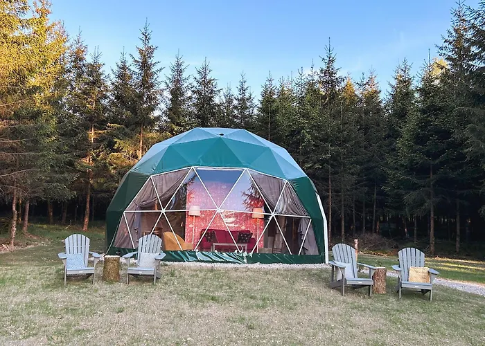 Οργανωμένο κάμπινγκ High Moor Glamping